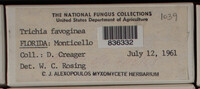 Image Associated With the Occurence